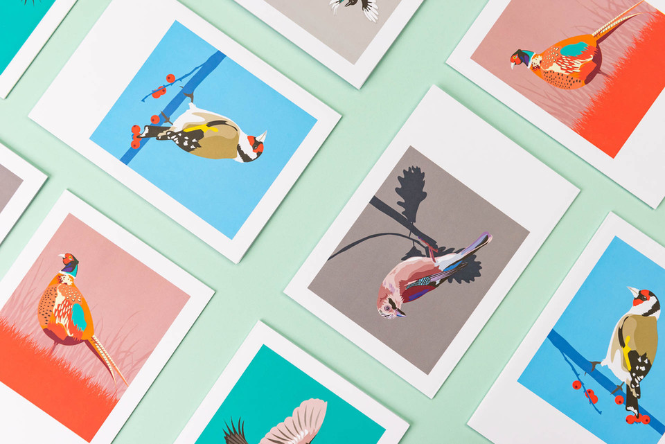 Northern Ireland, Ireland and UK-based commercial studio product photographer. 