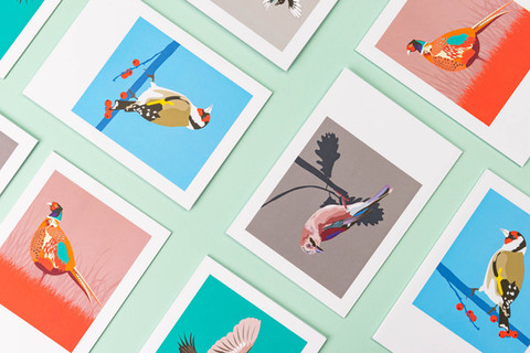 Northern Ireland, Ireland and UK-based commercial studio product photographer. 